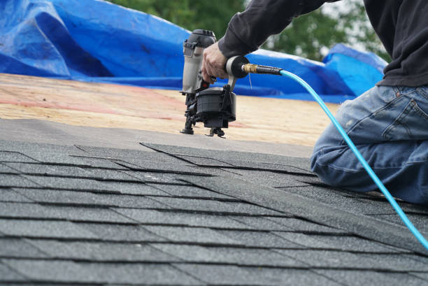 Roof Gutter Cleaning in Fremont, CA